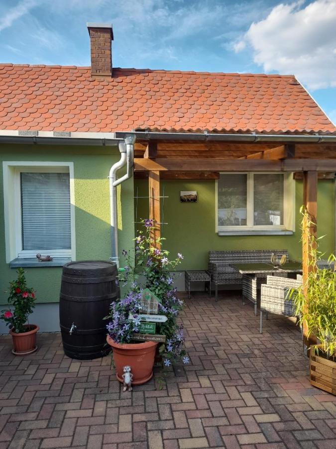 Apartamento Toepferblick Olbersdorf Exterior foto